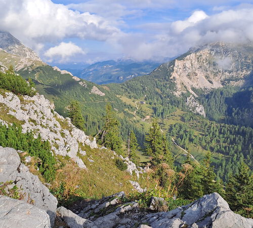 Blick vom Jenner zum Schneibstein