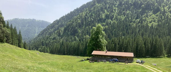 Bayr-Alm
