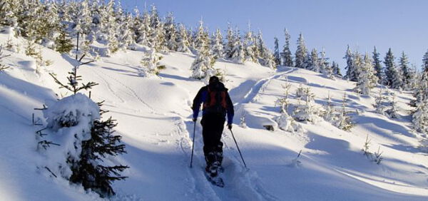 Bayerischer Wald