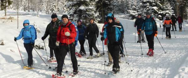 Rueckweg nach Waldhaeuser