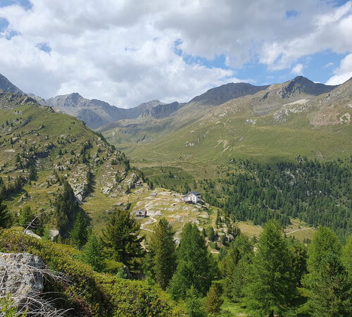 Marteller Tal