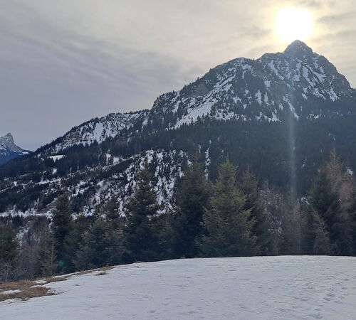 Einstein mit Sonnenhut