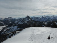 Schönkahler (Tannheimer Tal)