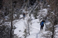 Wankspitze (Mieminger Kette)