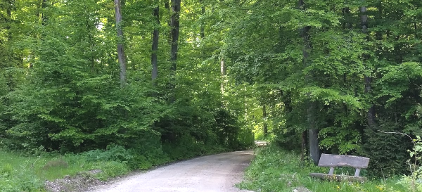 Eulennestweg-Eichelberg