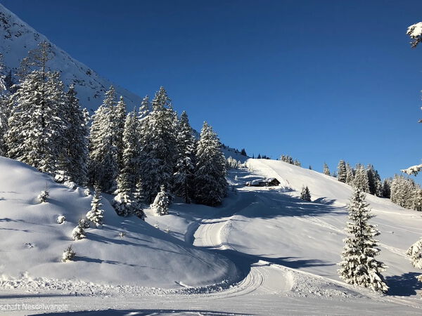 Edenalpe