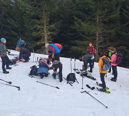 Umsteigen auf Schneeschuhe